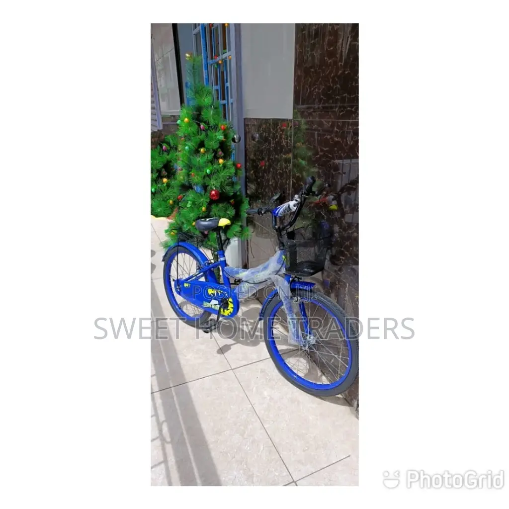 Kids Bike With Trainer Wheels 12 Inches