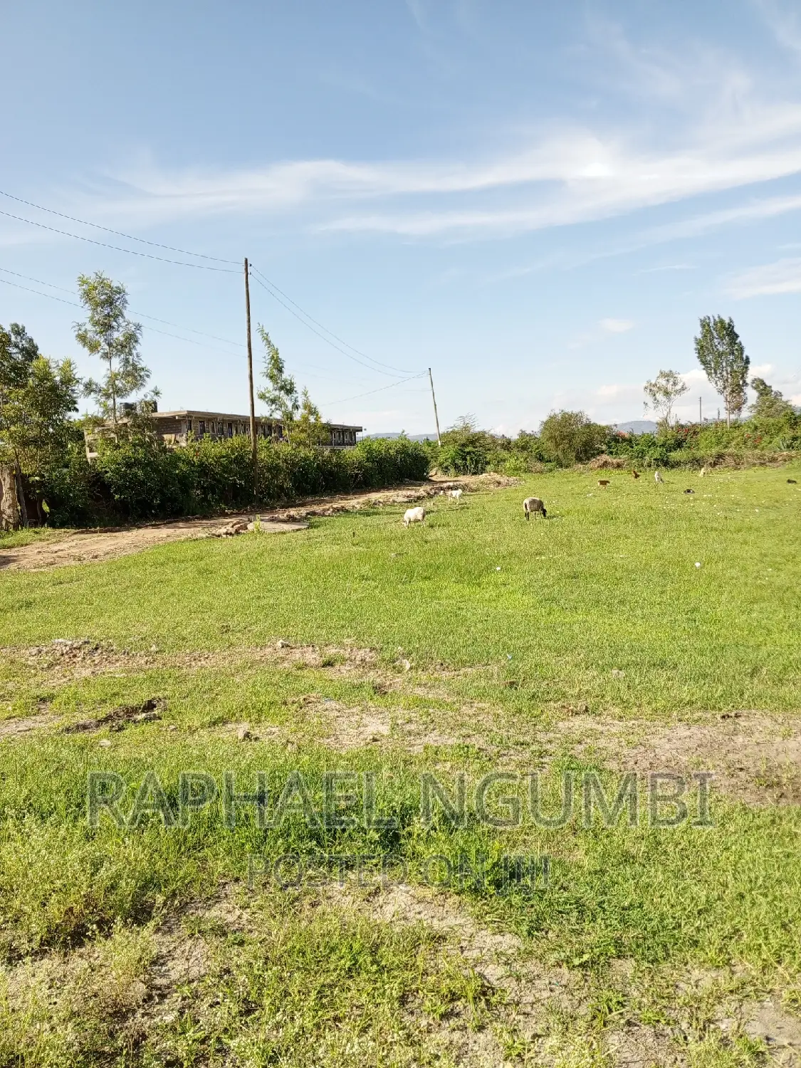 Three (3) 50*100 Plots at Machakos Kenya Israel Next to ABC.