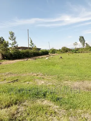 Three (3) 50*100 Plots at Machakos Kenya Israel Next to ABC.