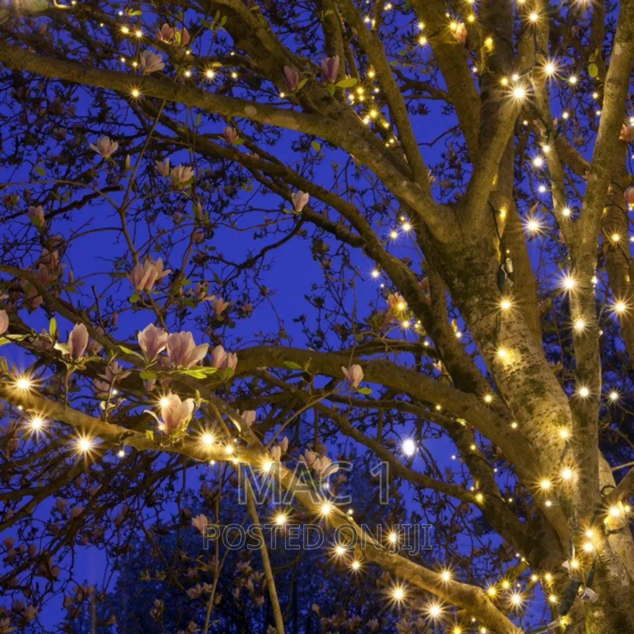 Warm Decorate Your Home With Our Decoration Lights