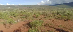 Plots for Sale in Ngong Kimuka.