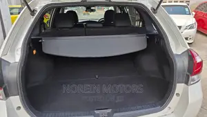 Toyota Corolla Fielder 2017 Pearl