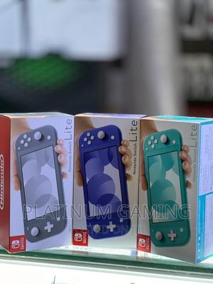Nintendo Lite -all Colours - main view