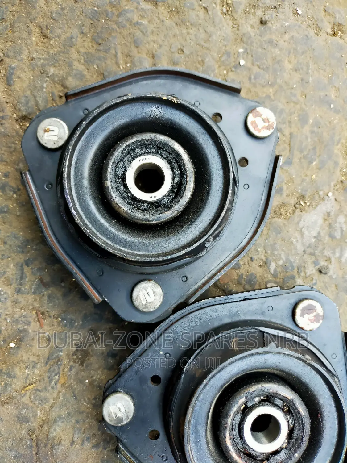 Premio Nyoka, Carina,Caldina Shock Mounts Available Now