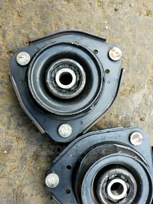 Premio Nyoka, Carina,Caldina Shock Mounts Available Now