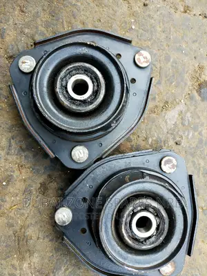 Premio Nyoka, Carina,Caldina Shock Mounts Available Now