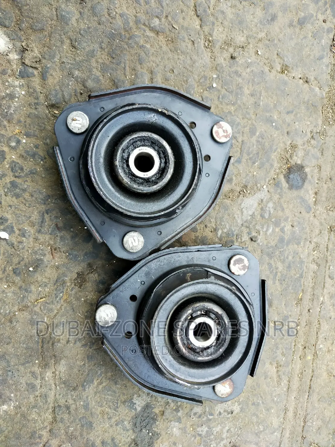 Premio Nyoka, Carina,Caldina Shock Mounts Available Now