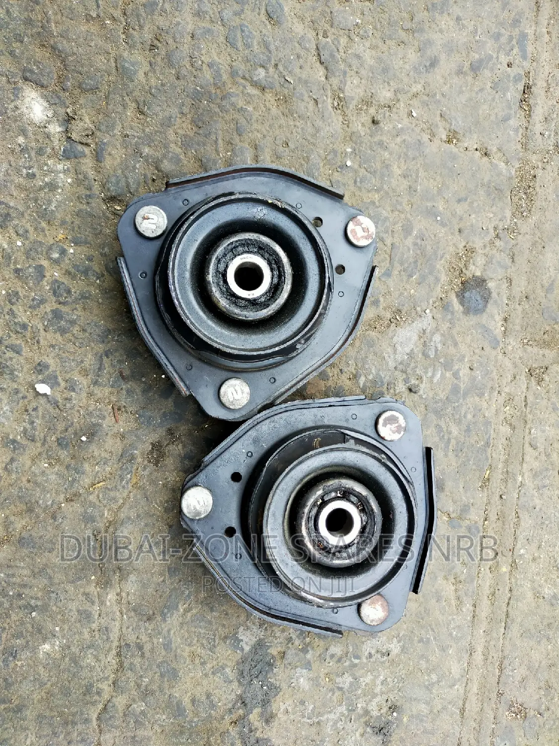 Premio Nyoka, Carina,Caldina Shock Mounts Available Now
