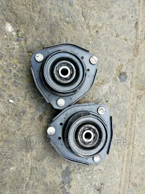 Premio Nyoka, Carina,Caldina Shock Mounts Available Now