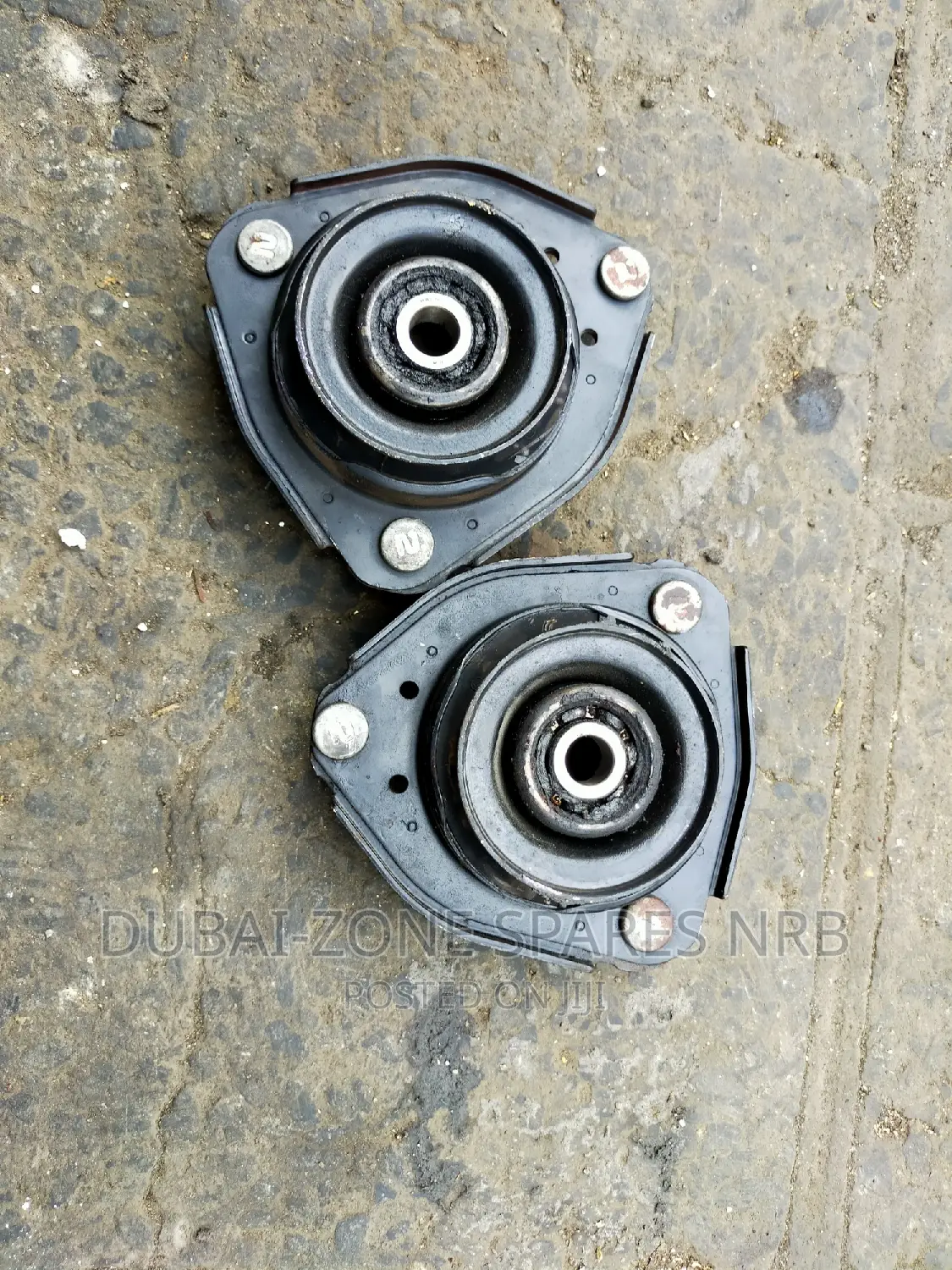 Premio Nyoka, Carina,Caldina Shock Mounts Available Now