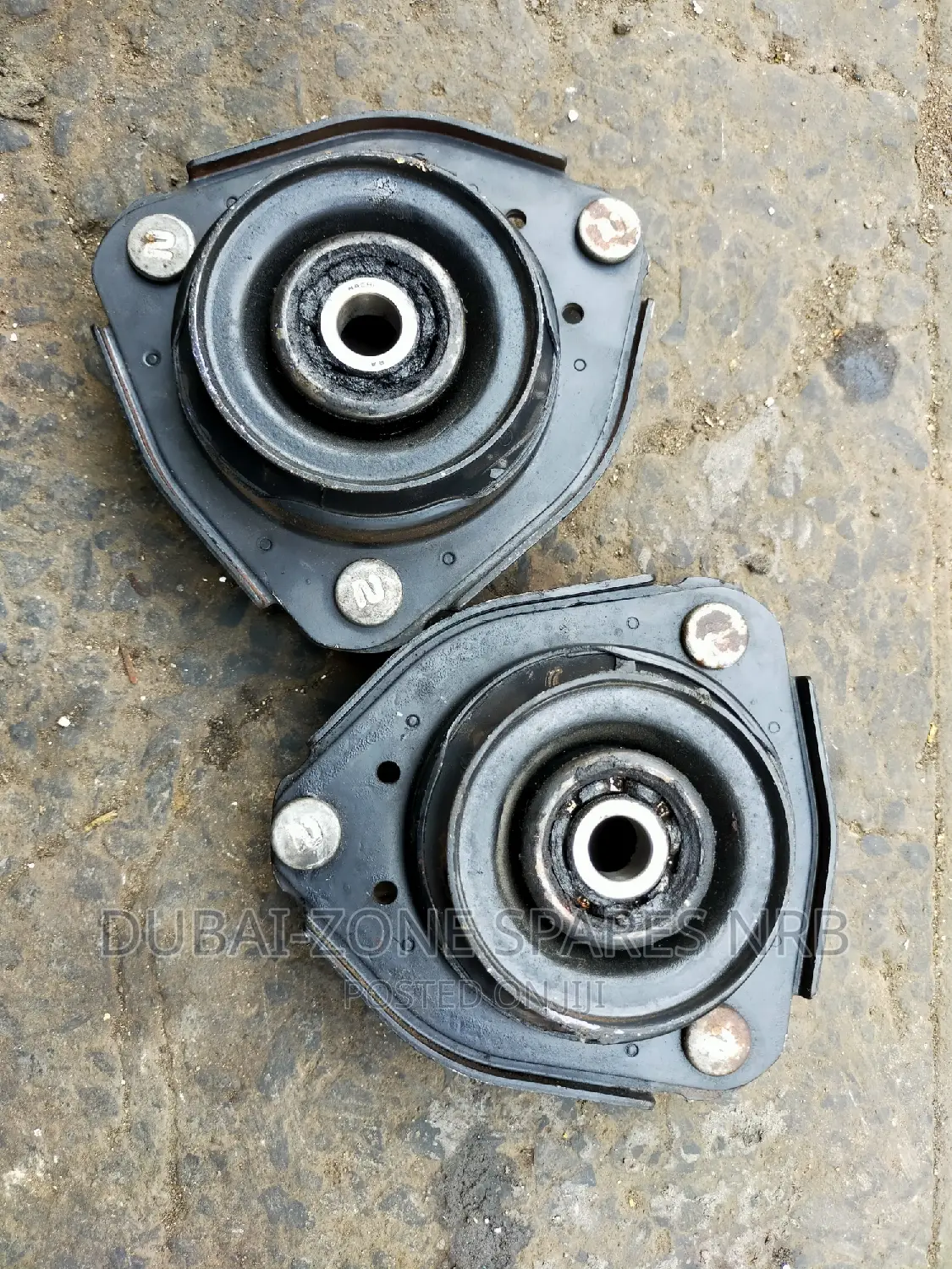 Premio Nyoka, Carina,Caldina Shock Mounts Available Now