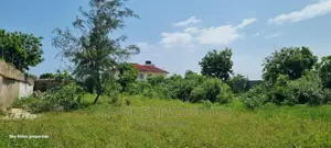 Serena, 1/2 Acre Land on Sale