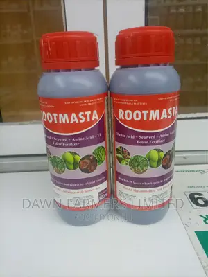 Rootmasta 500ml