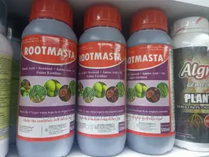 Rootmasta 500ml