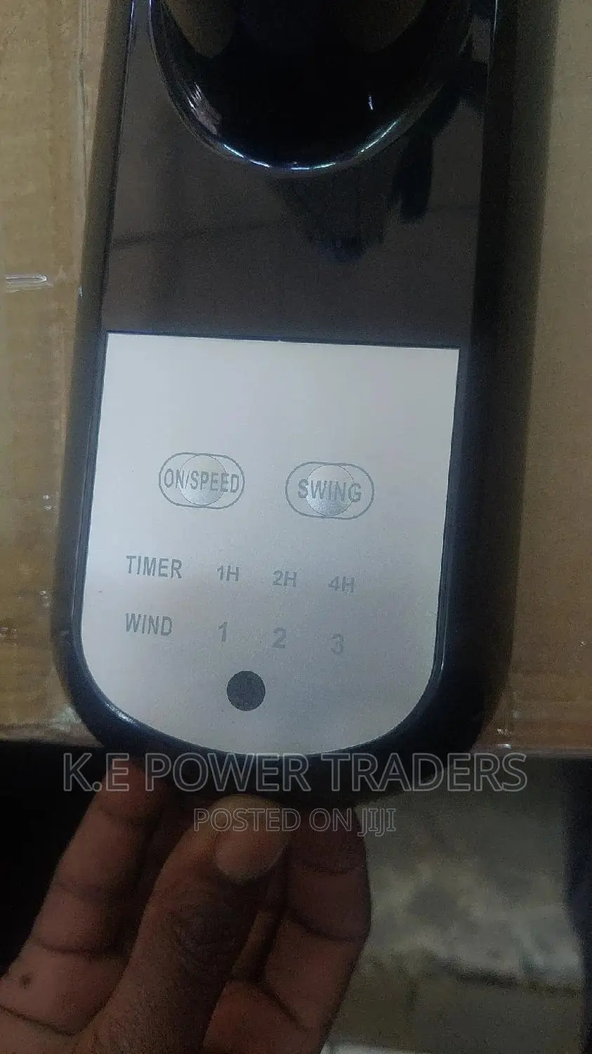Ramtons Remote Wall Fan