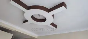 Profesional Painter