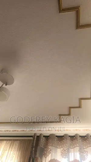 Profesional Painter