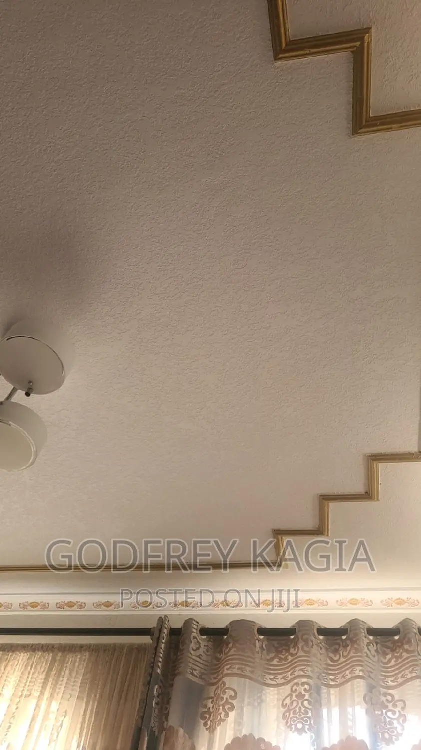 Profesional Painter