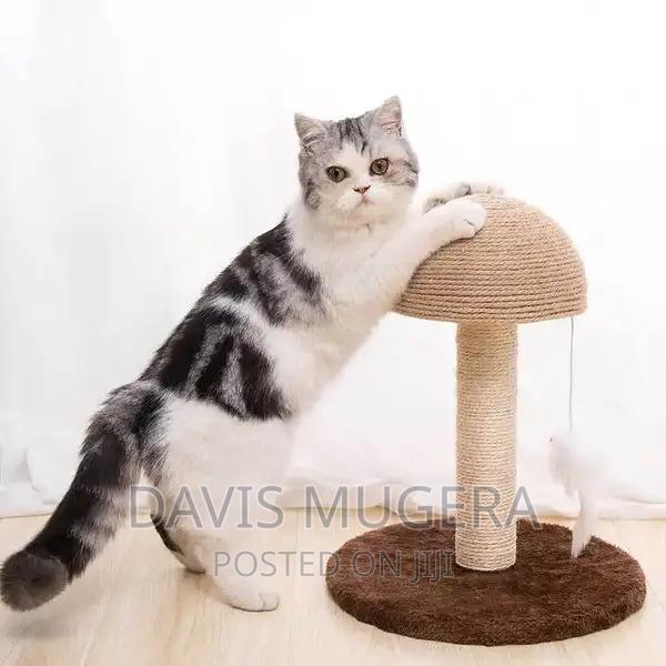 Catco Mushroom Head Cat Scratching Post, 36cm - main view