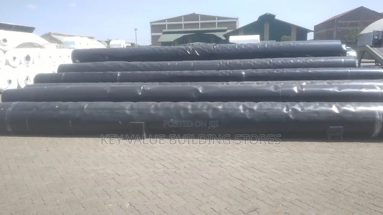DAMLINERS/Film