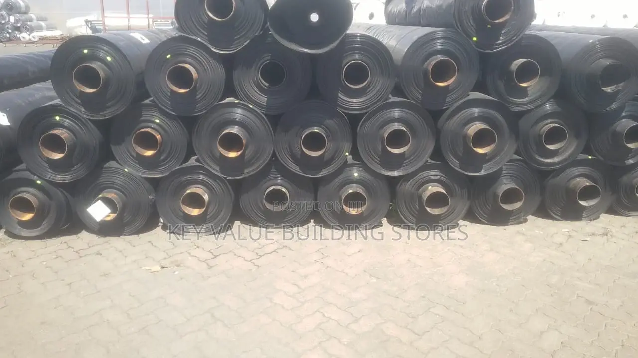 DAMLINERS/Film