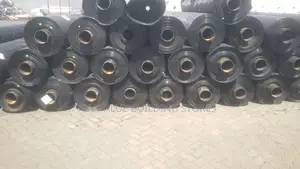 DAMLINERS/Film
