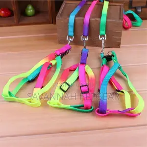 Lucky Rainbow Adjustable Dog Leash Harness Set, Small Dogs