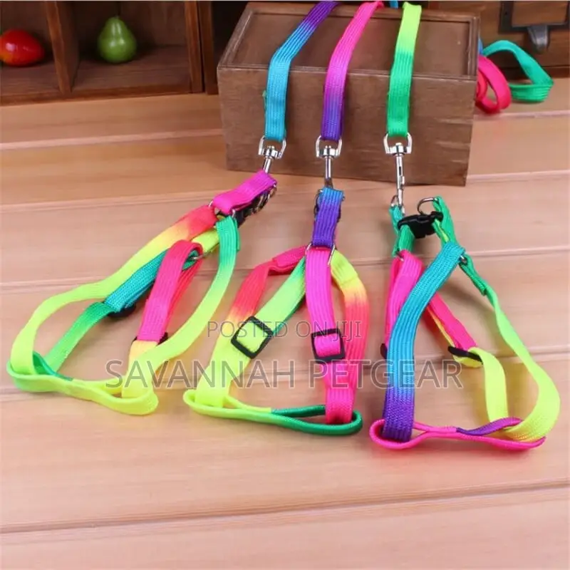 Lucky Rainbow Adjustable Dog Leash Harness Set, Small Dogs