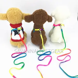 Lucky Rainbow Adjustable Dog Leash Harness Set, Small Dogs