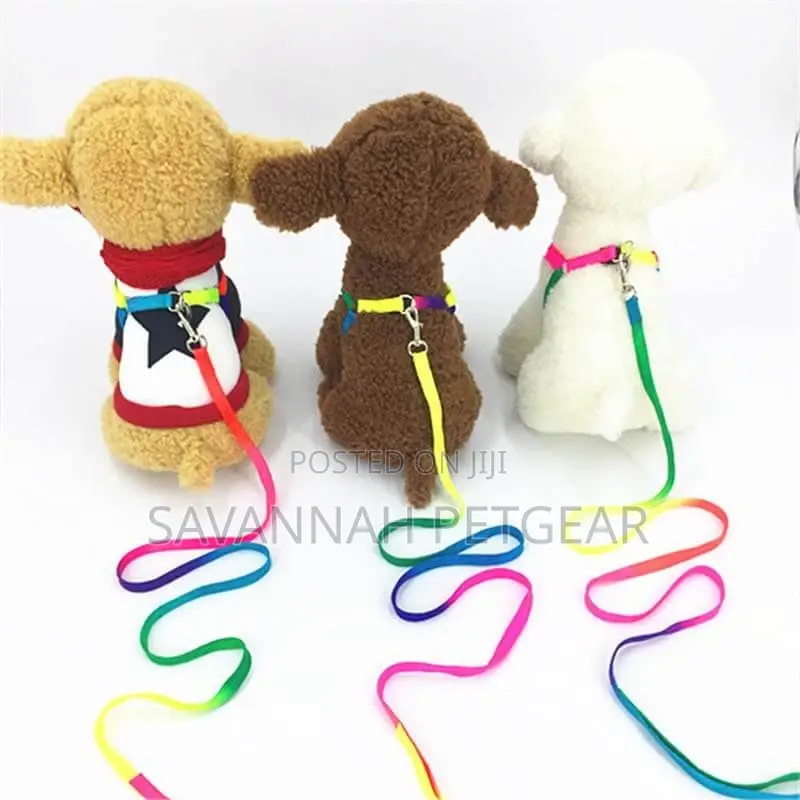 Lucky Rainbow Adjustable Dog Leash Harness Set, Small Dogs