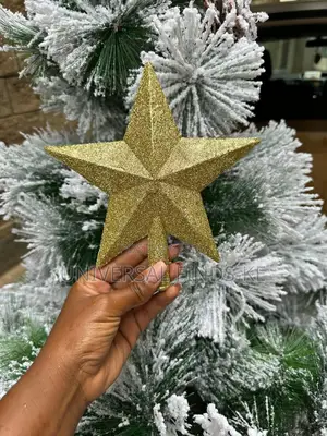Christmas Tree Star Topper