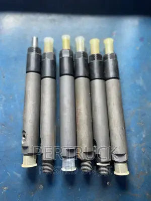 Injector Nozzle Assembly for HOWO SINOTRUCK WD615 Steyr
