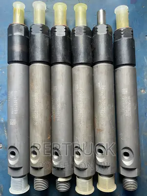 Injector Nozzle Assembly for HOWO SINOTRUCK WD615 Steyr