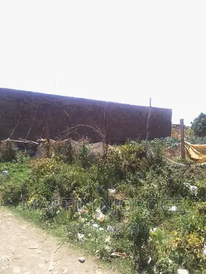 50 by 100 Nyamathi ( Nyakakairu Center)