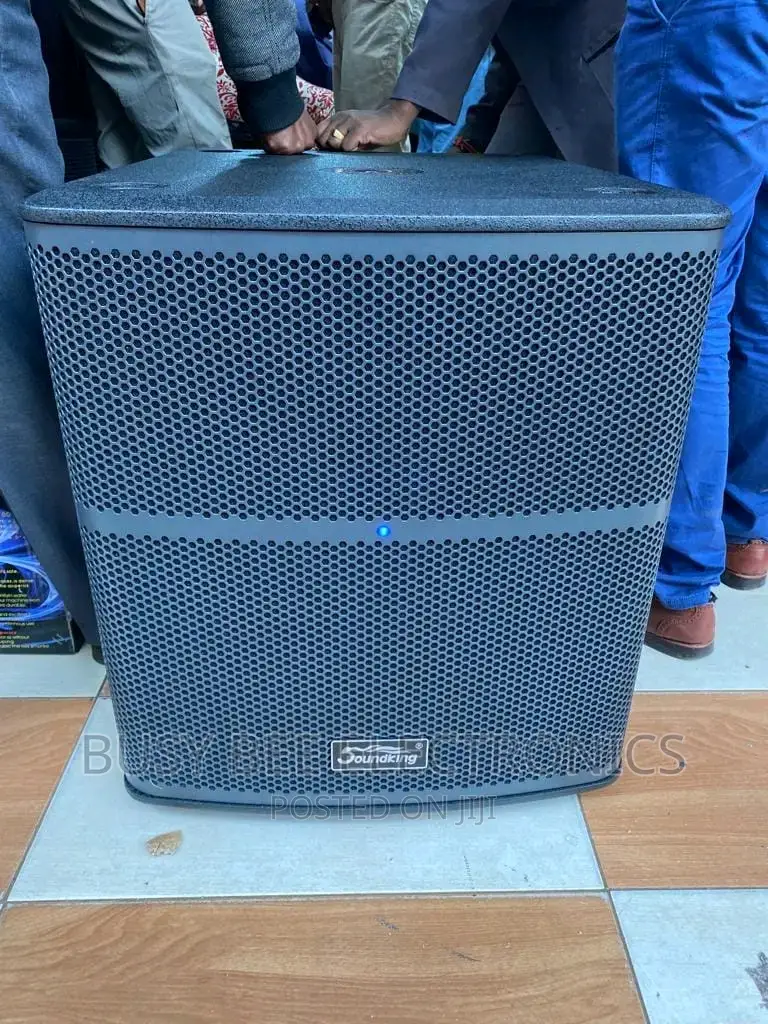 Soundking Powered Bass Speaker