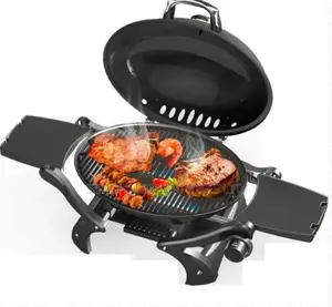 Deluxe Portable Gas Barbecue