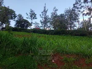 Nyeri Town Commercial 50/100 Plot on Sale