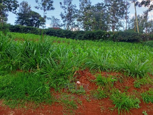 Nyeri Town Commercial 50/100 Plot on Sale - thumbnail 4