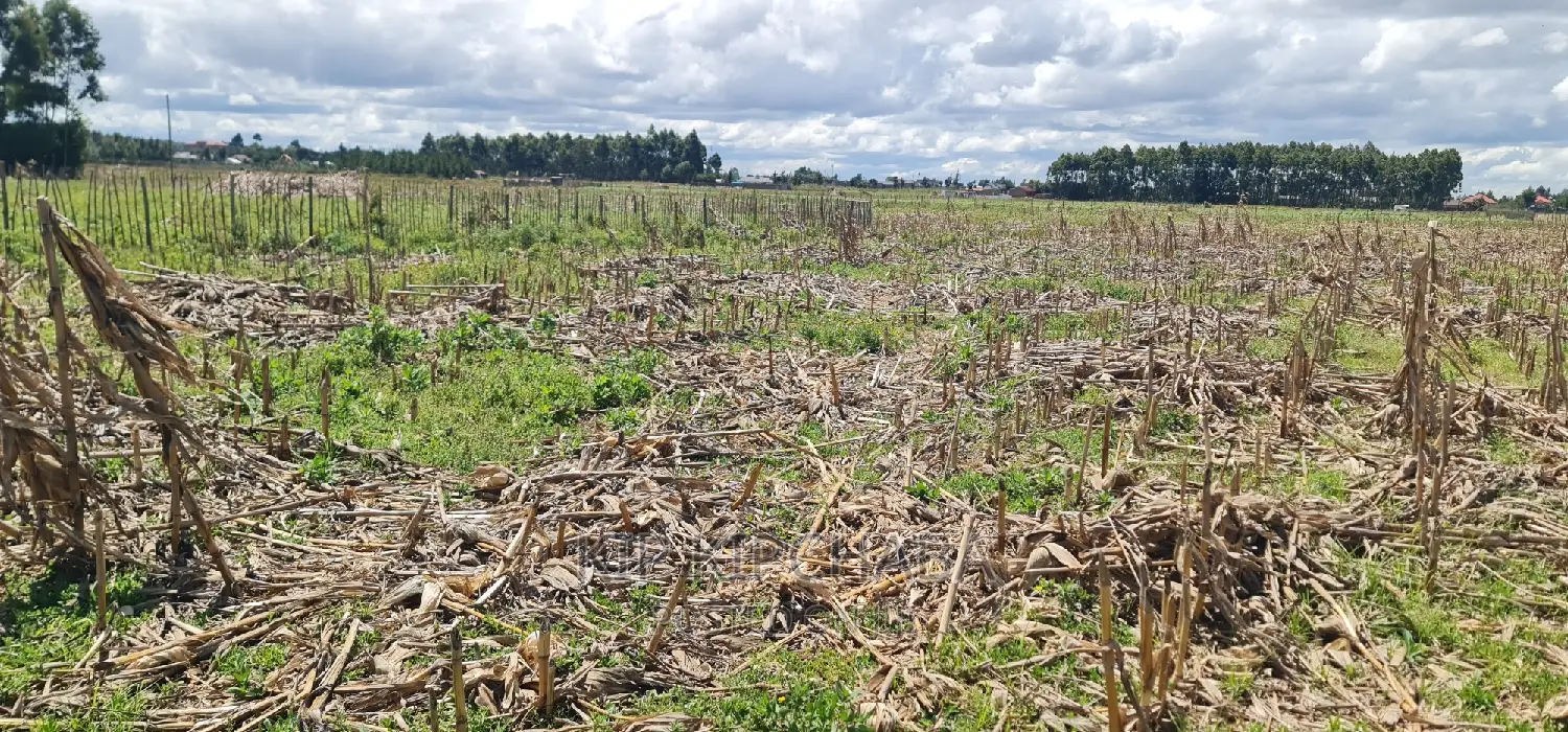 Affordable 2 Acres Land For Sale In Kapseret Eldoret