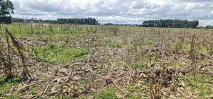 Affordable 2 Acres Land For Sale In Kapseret Eldoret