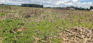 Affordable 2 Acres Land For Sale In Kapseret Eldoret