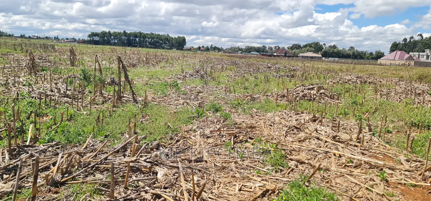 Affordable 2 Acres Land For Sale In Kapseret Eldoret