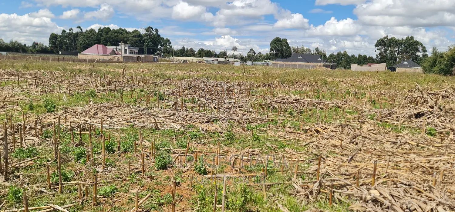Affordable 2 Acres Land For Sale In Kapseret Eldoret