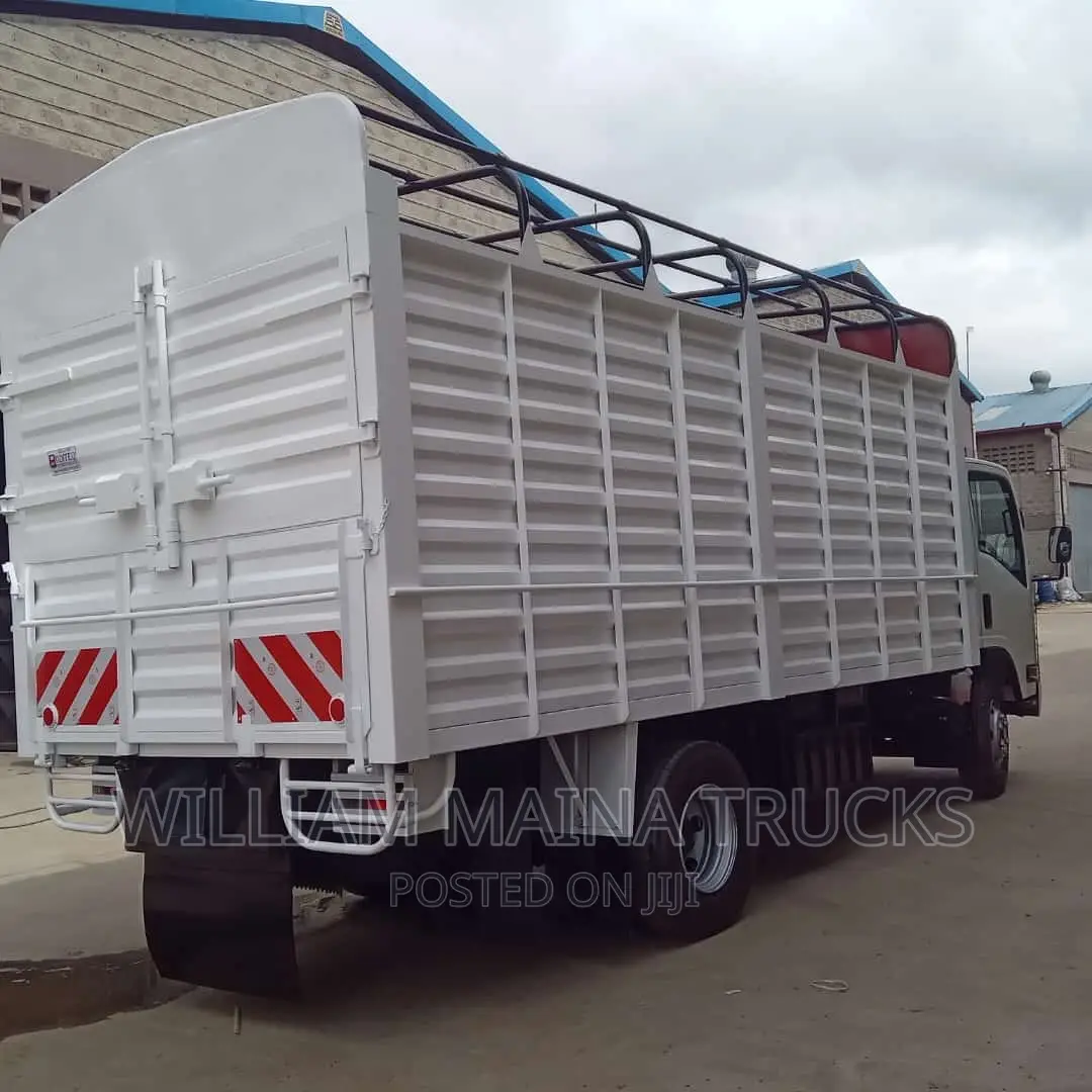 Isuzu NQR ( Truck)