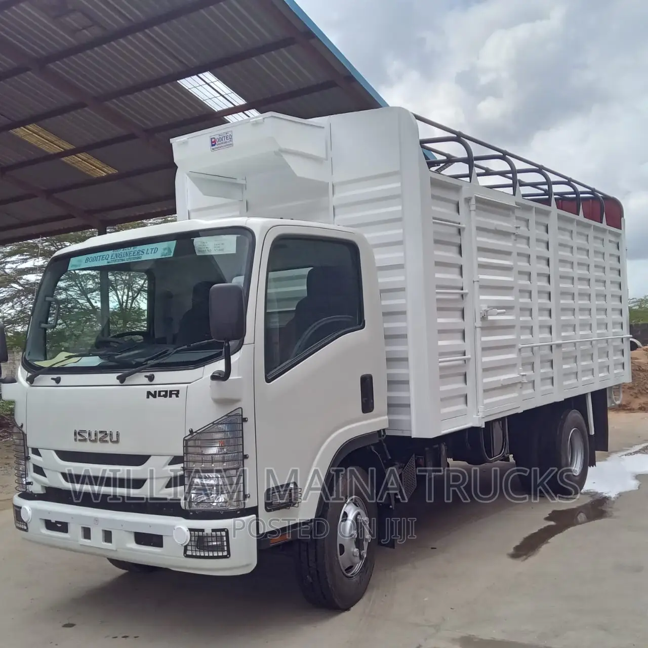 Isuzu NQR ( Truck)
