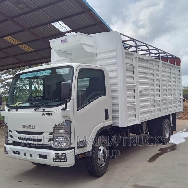 Isuzu NQR ( Truck)