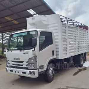 Isuzu NQR ( Truck)