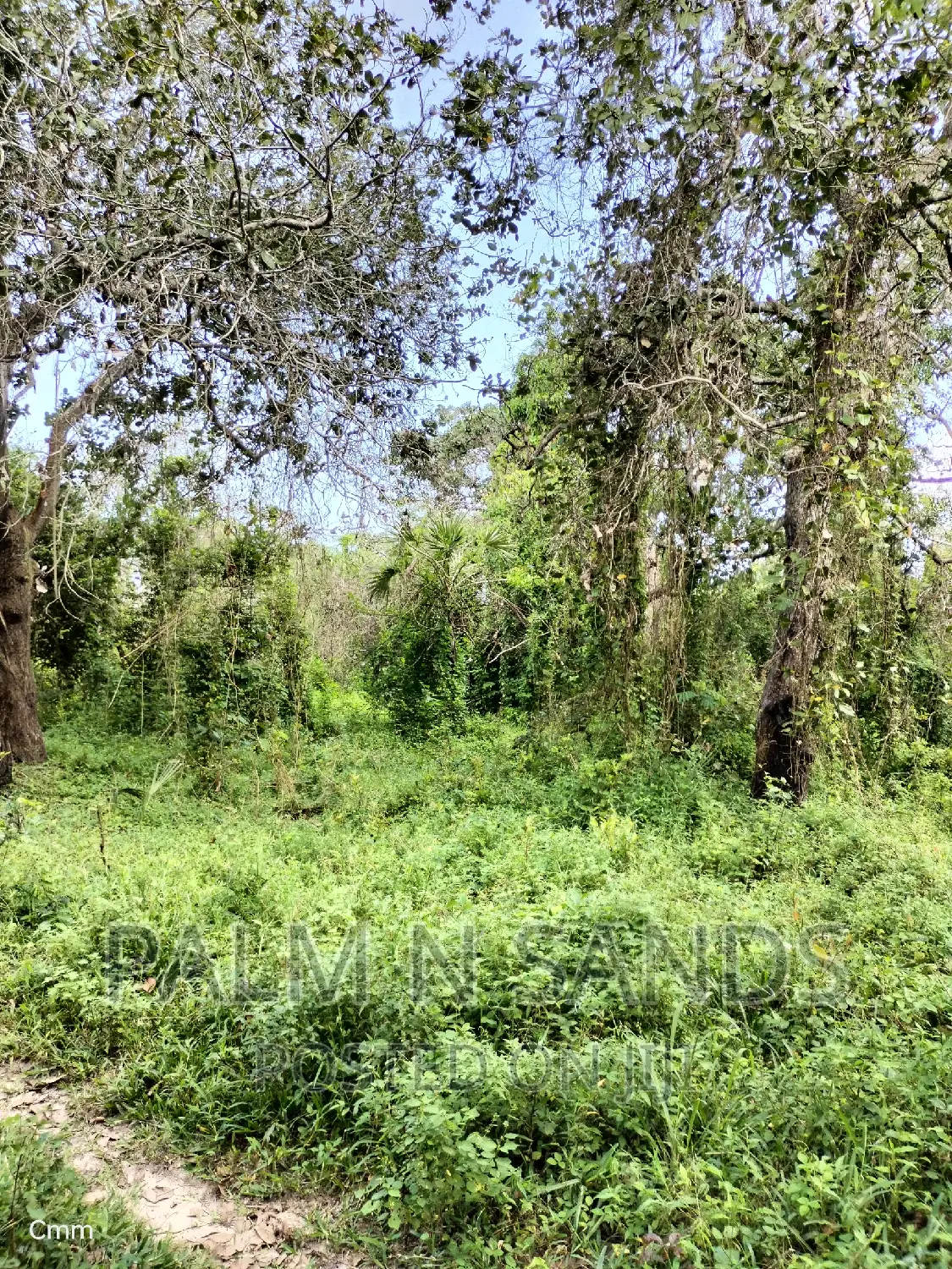 Shimbahills 28 Acres Farmland