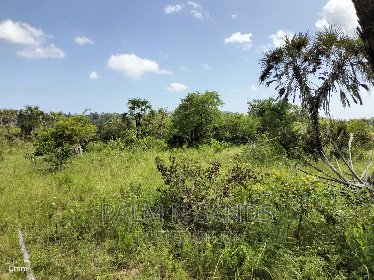 Shimbahills 28 Acres Farmland