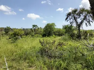 Shimbahills 28 Acres Farmland